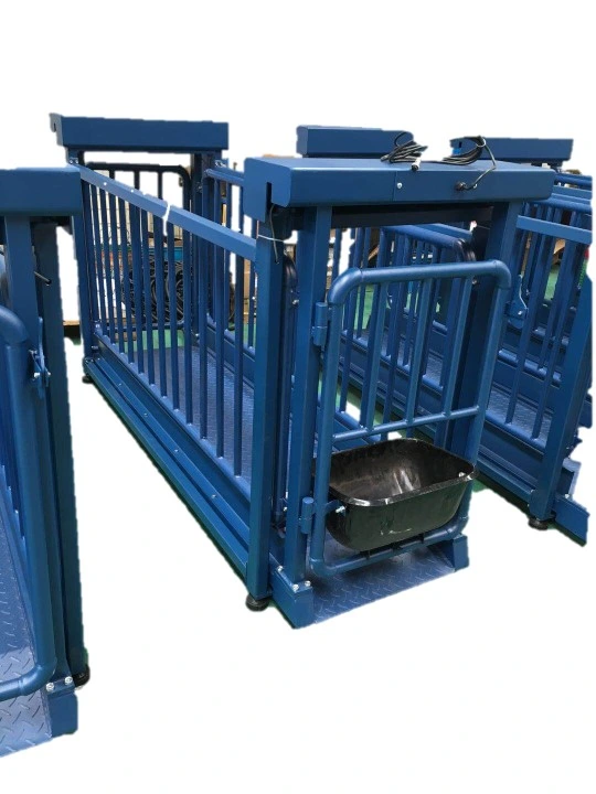 High Quality Livestock Platform Scales Tcs-5000kg Details Weigh Bridge