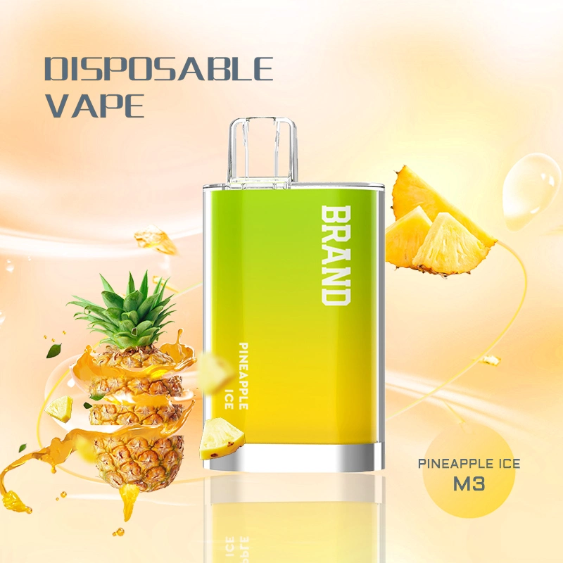 Factory Price Disposable Electronic Cigarette 600puffs 500mAh Battery Vape Box for OEM ODM