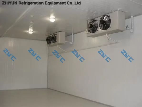 Customizable Temperature Cold Storage Air Cooler Latest Industrial Refrigerators for Ice Storage