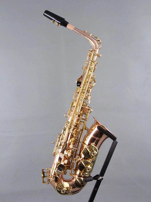 Alto Saxophone/ Saxophone Gold Brass (SAA-P)