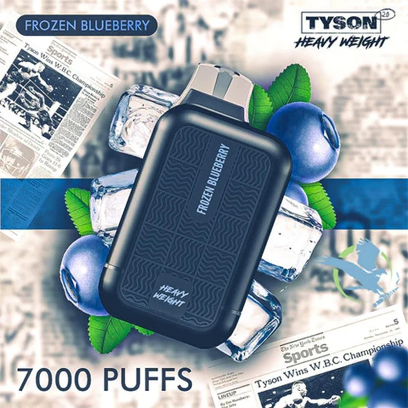 Wholesale/Supplier Tyson 2.0 7000 Puffs 5% (50 mg) Nicotine Disposable/Chargeable Vape