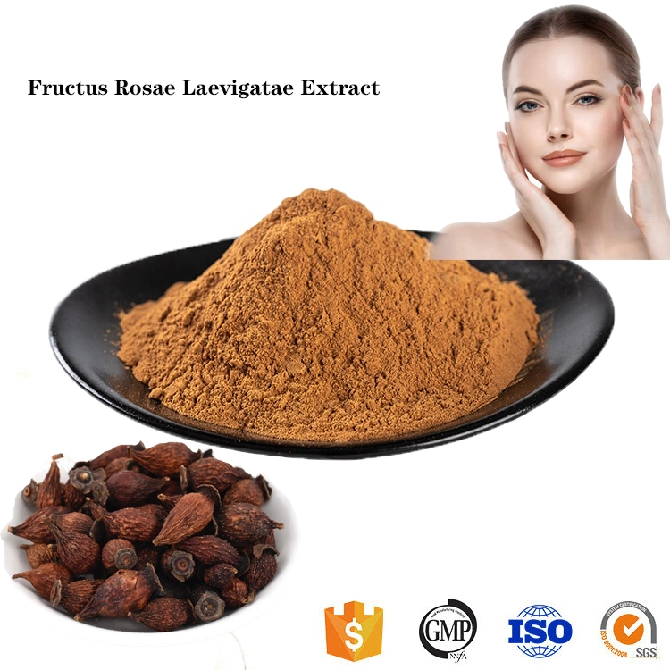 Natural Cherokee Rose Fruit/Fructus Rosae Laevigatae Extract Powder