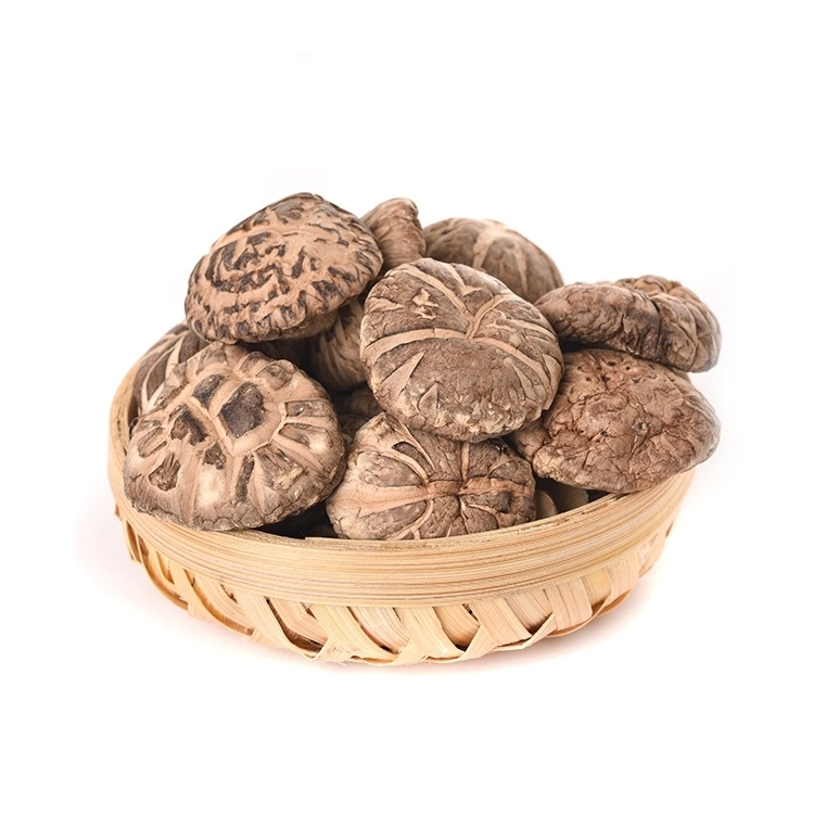 New Crop Dried Shiitake Mushroom Whole