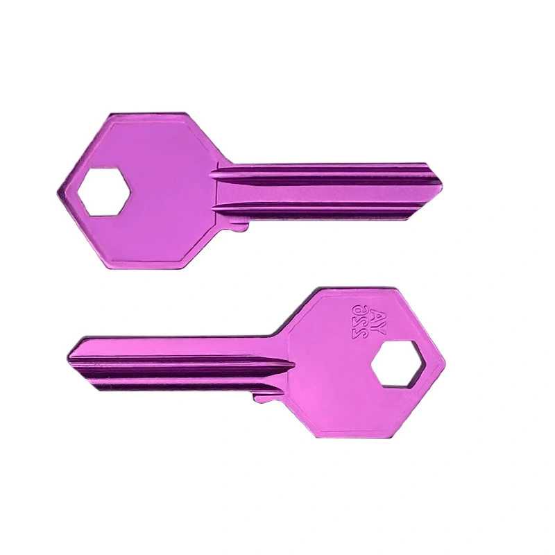 Wholesale/Supplier Home Door Titanium Blank Key Custom Logo Purple Color for Locksmiths