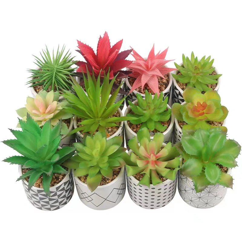 Artificial Succulents Plant Creativity Flower Pot for Home Decor