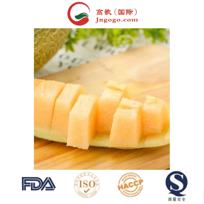 Available New Product Sweet Fresh Cantaloupe Hami Melon