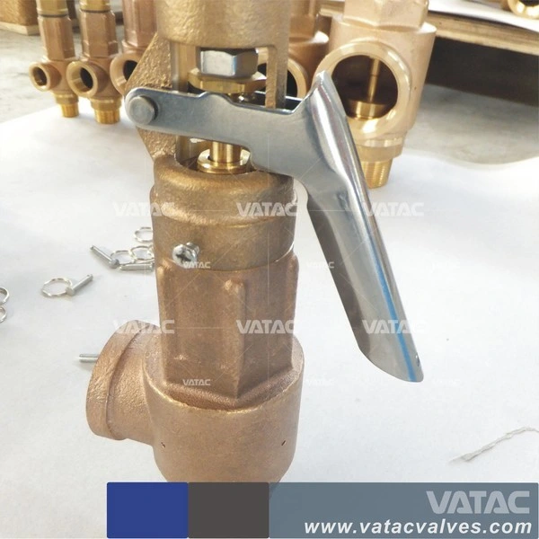 Bronze Thread/Screw Fnpt/Mnpt Spring Loaded Safety Valve