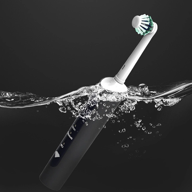 Intelligent Rotating Adult Electric Toothbrush Rechargeable for Teeth Whitening