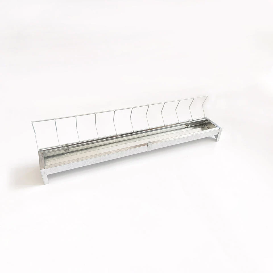 Poultry Galvanized Metal Poultry Feeder and Drinker Trough for Chicken