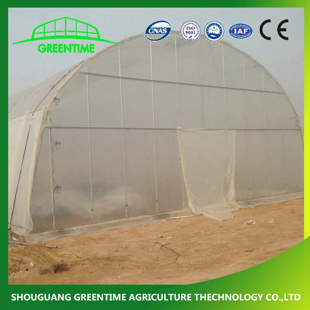 Agricultural/Commercial Single Span/Cheap Tunnel/Gothic Plastic Film Hydroponic Greenhouse for Tomatoes Lettuce Cucumber