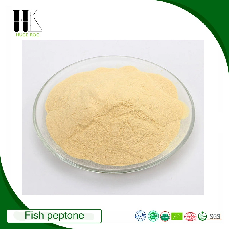 Fish Protein Peptide Private Label Best Quality Tilapia Marine Fish Organic Collagen Protein Peptide Powder