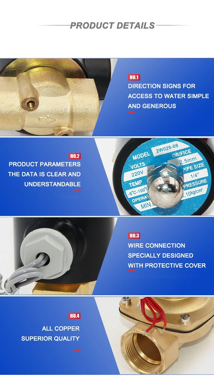 DN15 1/2 pouce 2W-160-15 Vanne électromagnétique électrique à deux voies en laiton normalement fermée AC220V DC12V DC24V Vanne pneumatique