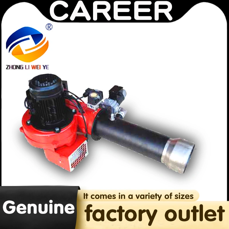 China Factory Direct Sales Career Hong Kong Natural Gas Burner محراث الغاز الصناعي لفرن البخار من السلسلة GS