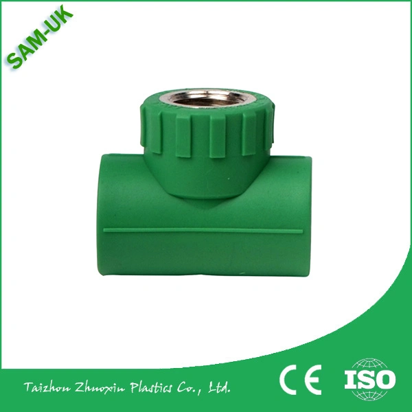 Quick Connect Camlock Coupling Fittings / Quick Lock Hose Coupling /Camlock Systems