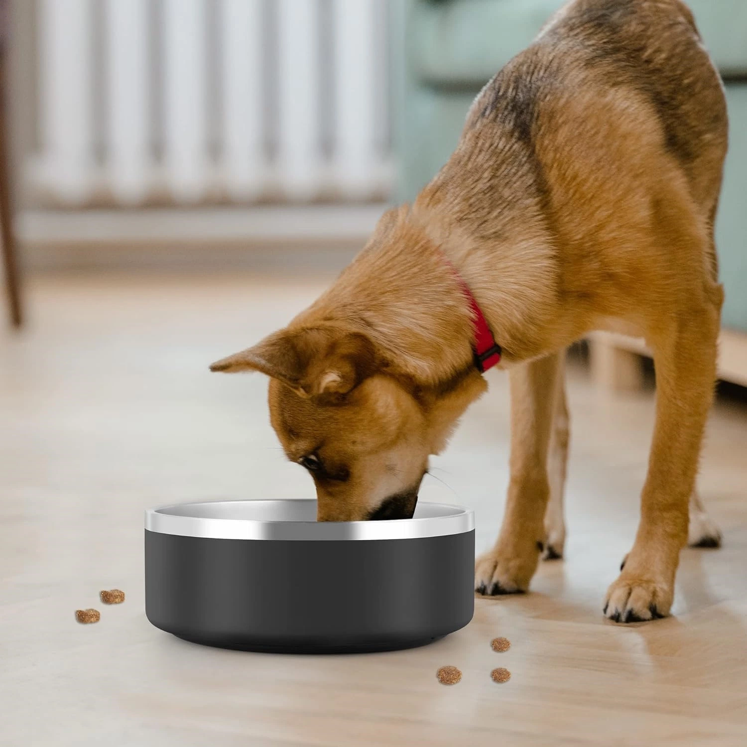 Aço inoxidável Dog Bowl isolado Pet Products Acessórios alimentadores Cat Bacia de água