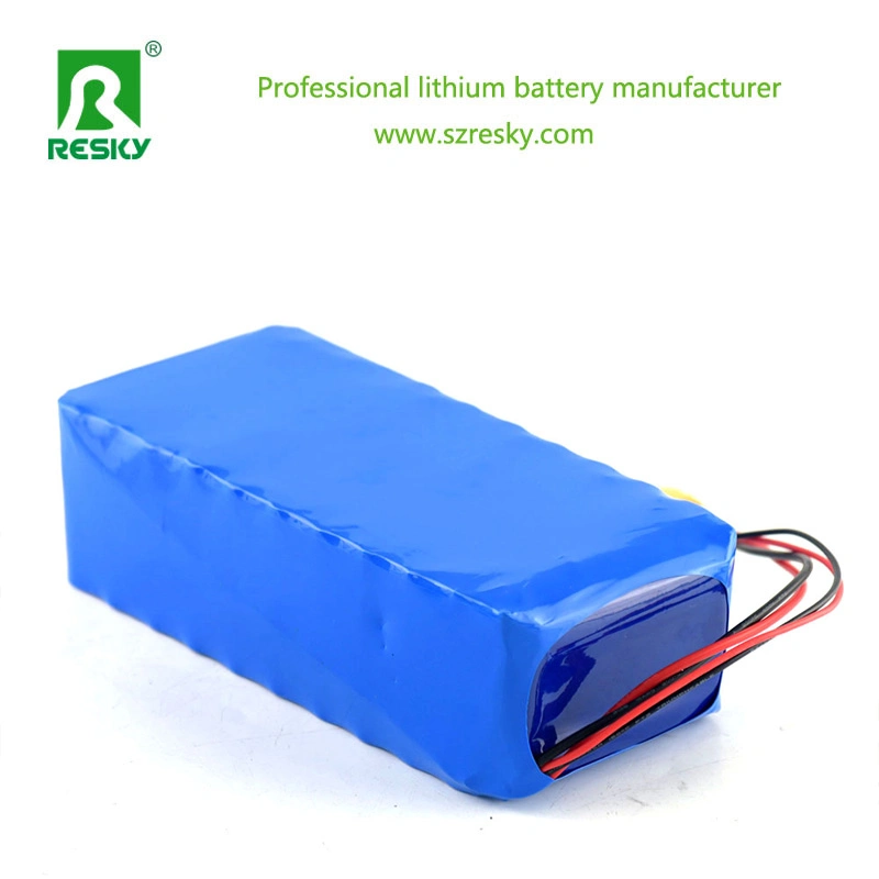 Portable 24V 11ah Lithium Battery for Electric Wheelchair