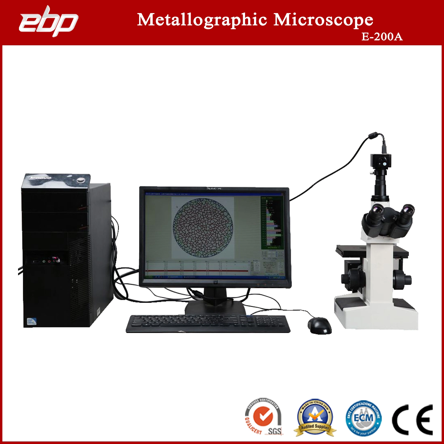 Microscopio metalúrgico con el software de análisis de la calificación de grado de auto con la cámara