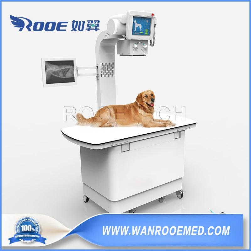Térm veterinários raios x e raios-X com 4 vias mesa flutuante e 20kw/32kw Alto Gerador de frequência