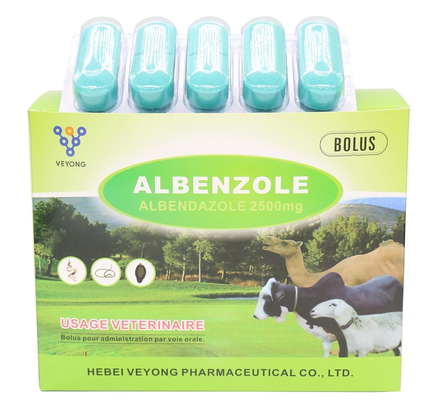 Medicina veterinaria medicamentos animales 300mg/600mg Albendazol 2500mg 18g Bolus for Camellos de China Factory