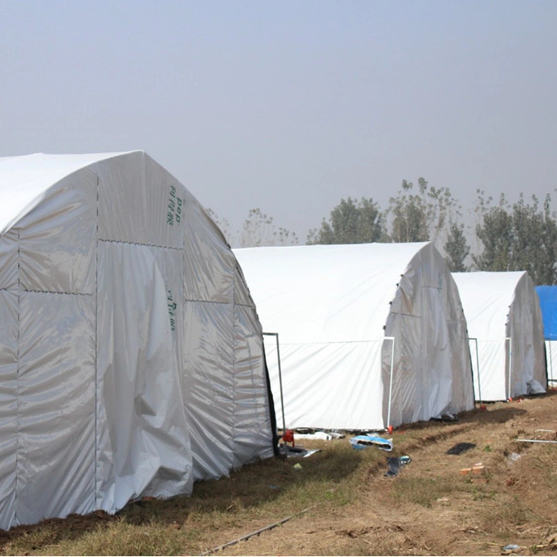 Flower and Vegetable Greenhouses with Single-Span Film