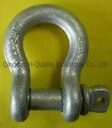 Drop Forged Carbon Steel Screw Pin Anchor Shackle 209