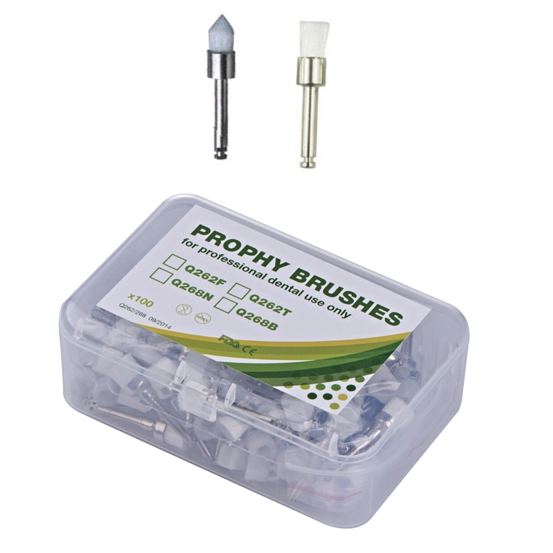 Kunststoff-Rad Polierset Gummi Dental Prophy Pinsel Kit