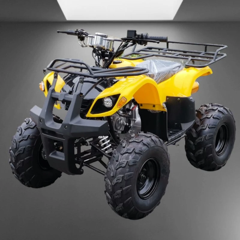 Chinese Professional Petrol Powered 125cc Quad Bike ATV