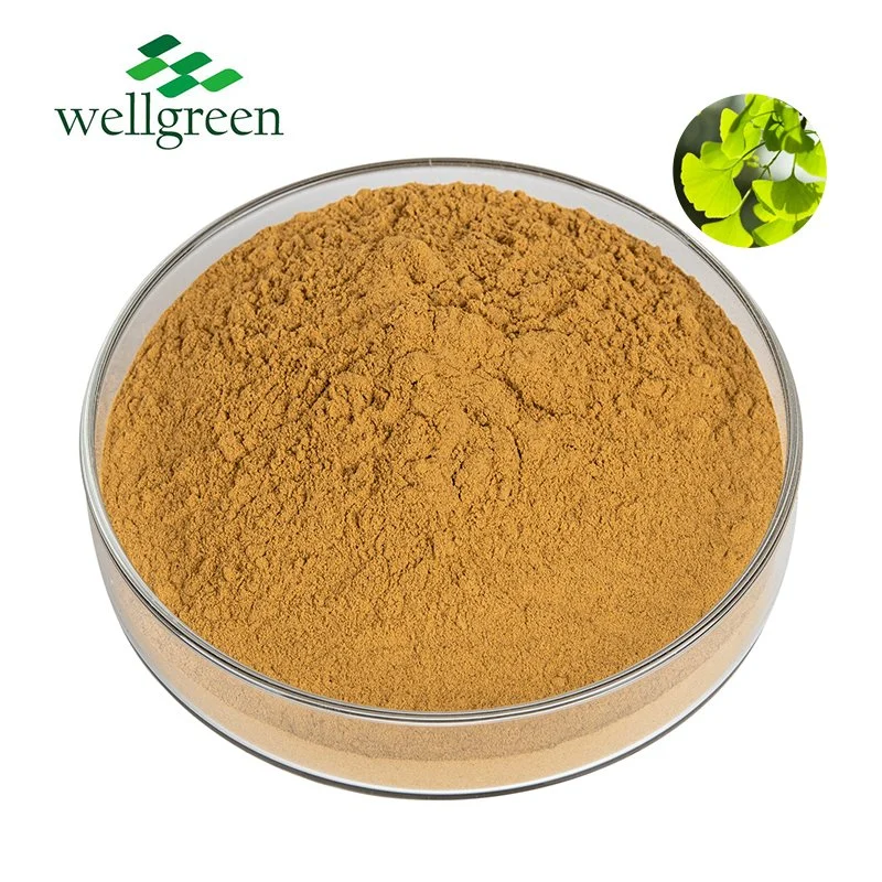 Extracto de hierba natural en polvo soluble en agua con extracto de Ginkgo Biloba