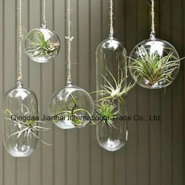 Simple Clear Glass Plant Vase Tableware for House