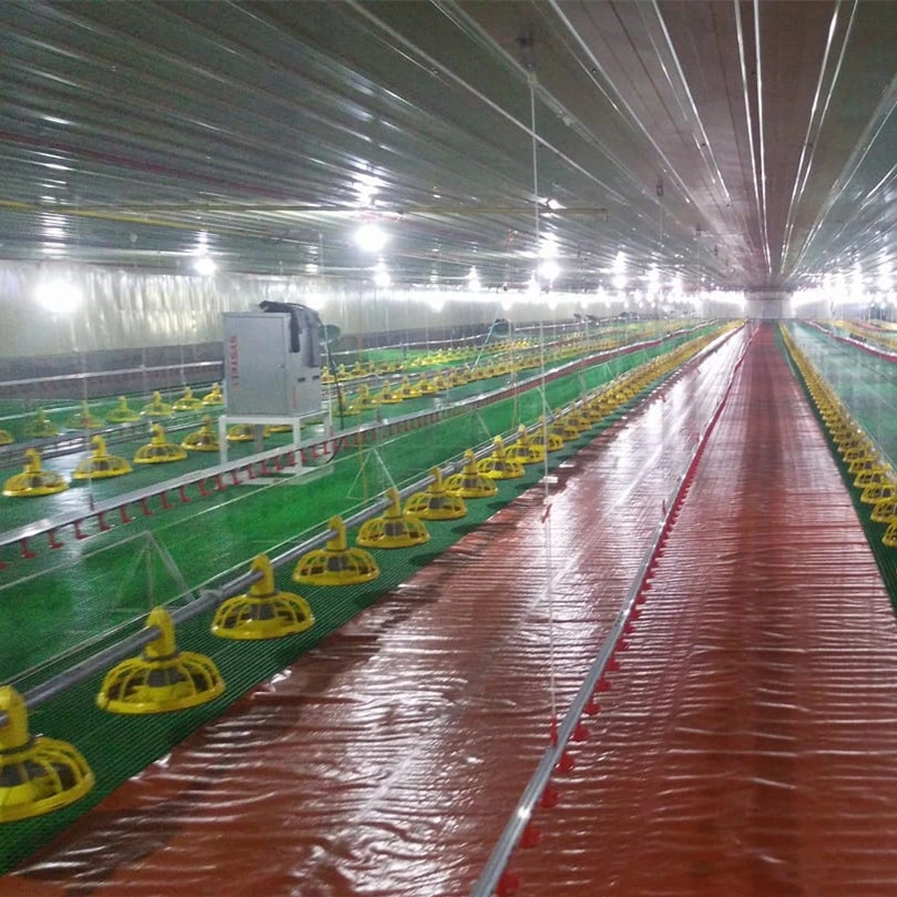 Well Designed Broiler Breeder Layer Chicken Use Poultry Farm Construction Design