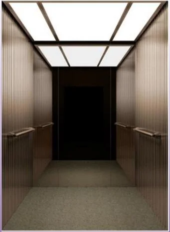 Luxueuse ascenseur Accueil Villa ascenseur pour les passagers