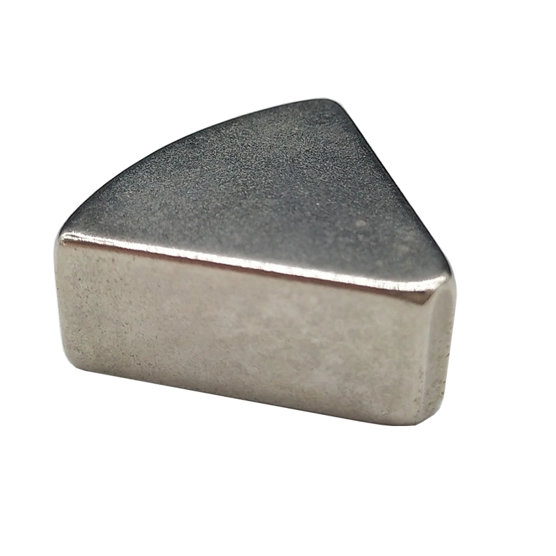 China Manufacturer Custom Strong Rare Earth Segment Neodymium Magnet