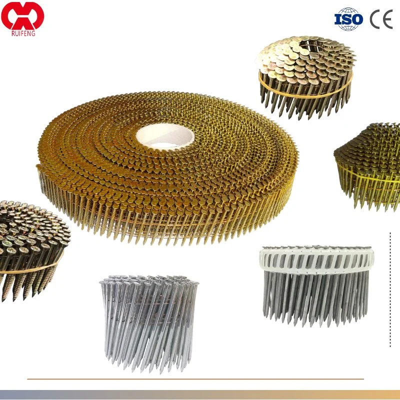 Hardware Fasteners Stainless Steel Framing Nails / Roofing Nails / Siding Nails 15/16&deg; Wire Collated Screws / Coil Nails with CE for Wood Pallets