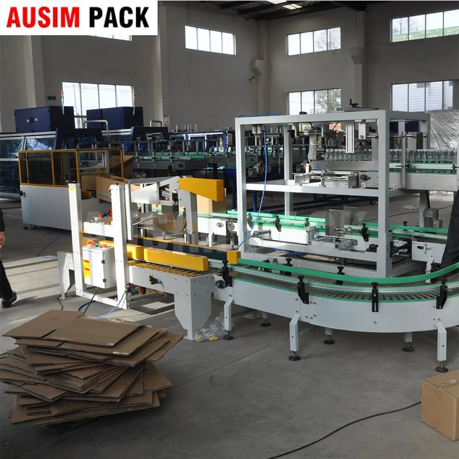 Automatic Case Packer Case Packing Machine Corrugated Carton Packing Machine