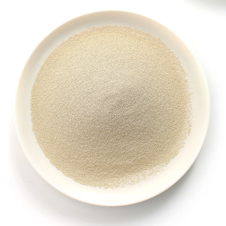 Baking Yeast for Bakery Instant Dry Yeast