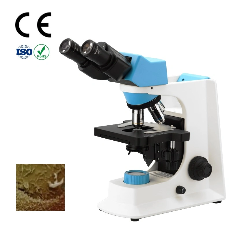 Education /Clinic Trinocular Biological Microscopes with Digital Mount