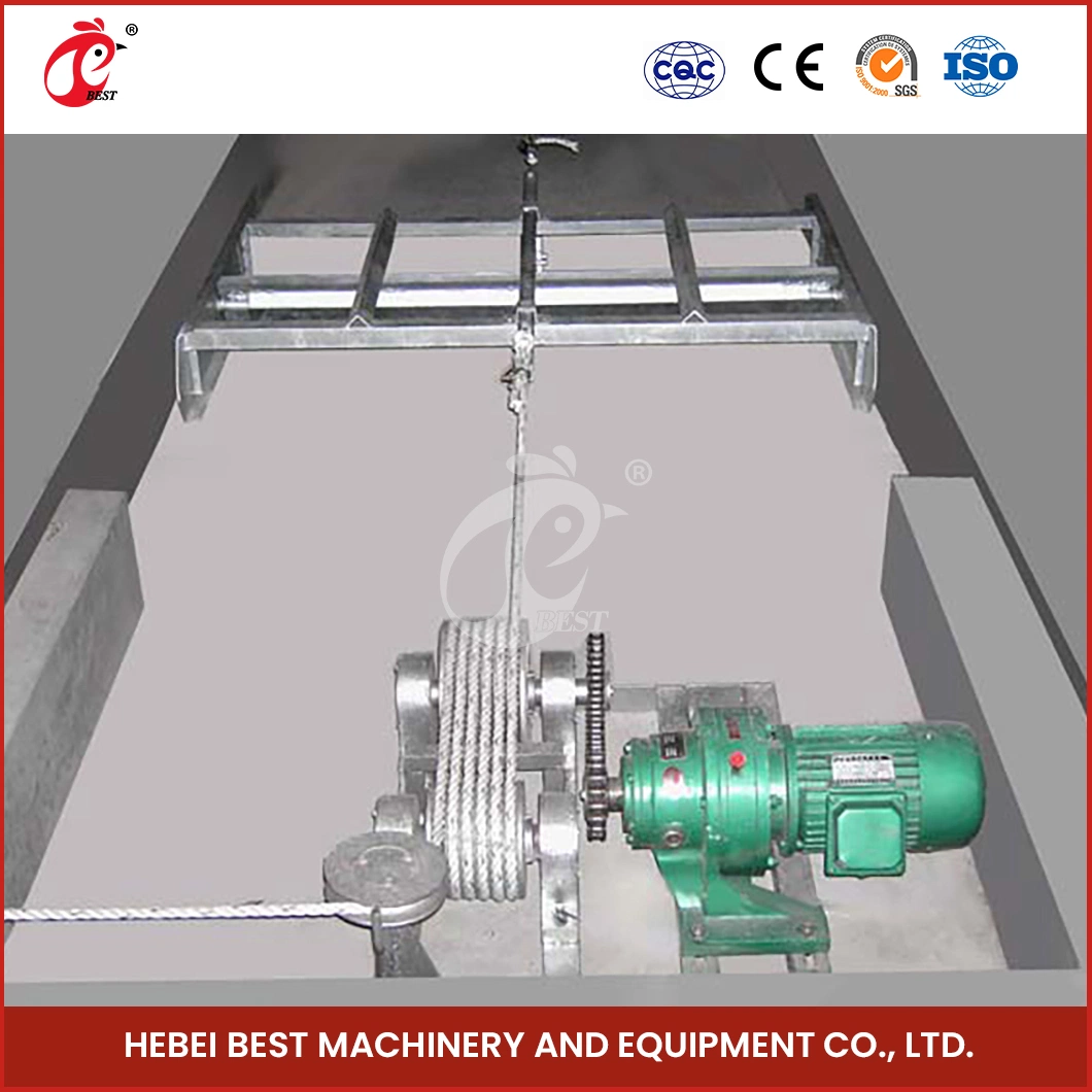 Bestchickencage Manure Removal System China Cage System Poultry Manure Cleaning Scraper Supplier Customized Environment Friendly Manure Removal System Equipment