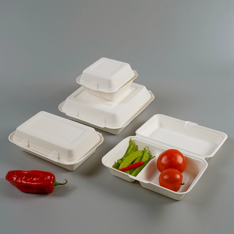 9"X6" Bagasse Clamshell Food Box Takeaway Packaging Biodegradable Disposable Food Container