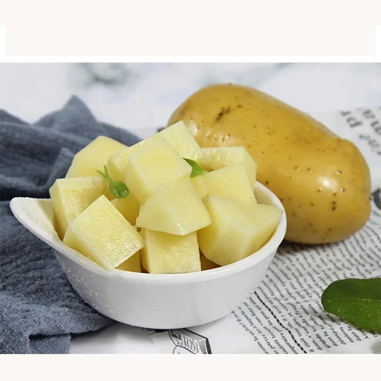 Fresh New Crop Potato From China