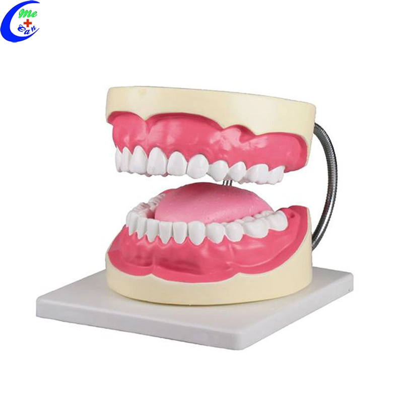 LED Cold Light Teeth Whitening with Intraoral Camera