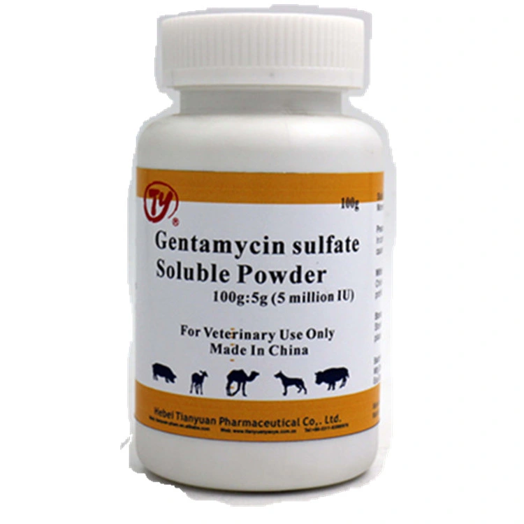 Gentamycin Sulfate Soluble Powder Vetrinary Medicine for Livestock Health Care