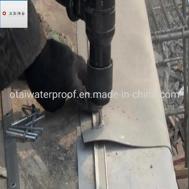 Anti Chemical HDPE Sand Type Waterproof Sheet for Construction Waterproofing