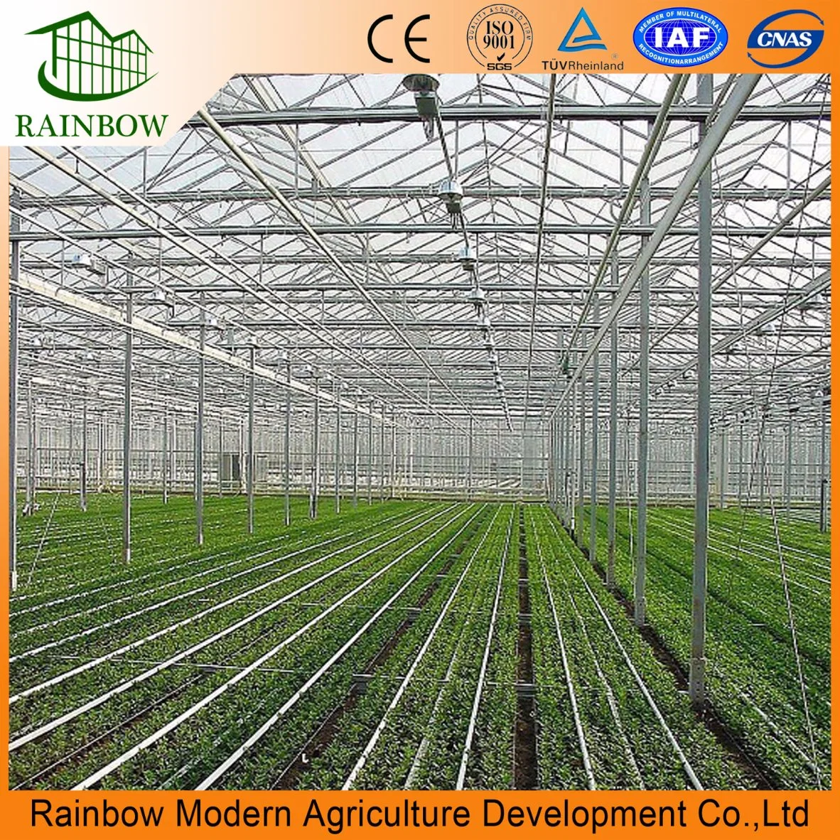 Hot-DIP Galvanized Steel Structure Greenhouse for Vegetables