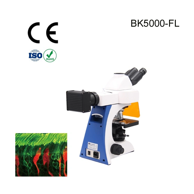 Adjustable Standspecular Fluorescence Microscope Supplier for Acrobat Microscope Stand