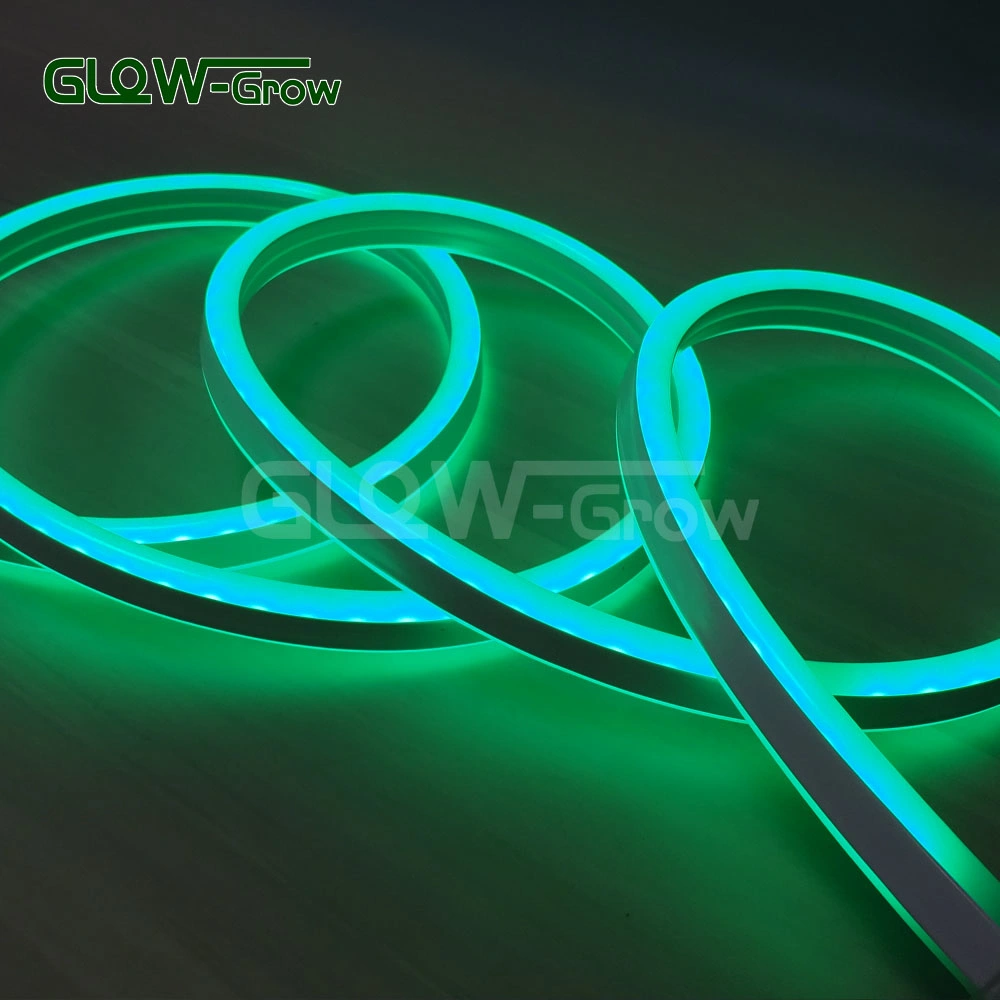 Factory ETL UL IP65 5050 RGB Sync Flexible Strip Light LED Neon Licht für Highlight Landschaft Gebäude Beleuchtung Hochzeitsfeiertag Dekoration