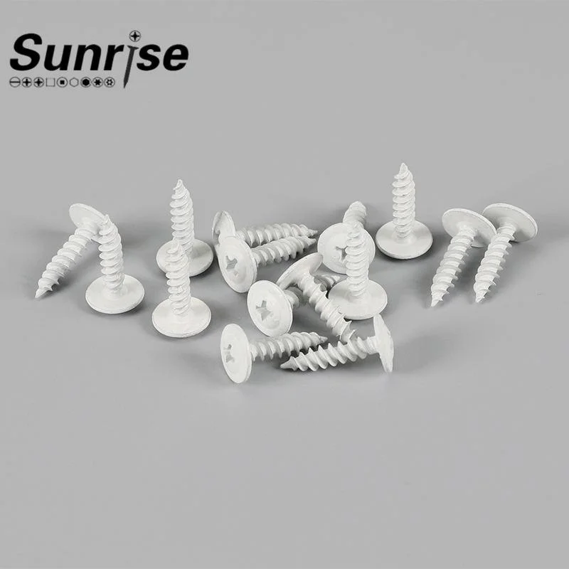 High quality/High cost performance Surface Carbuizing Treatment Surface of White Ruspert Coating Tapping Screw