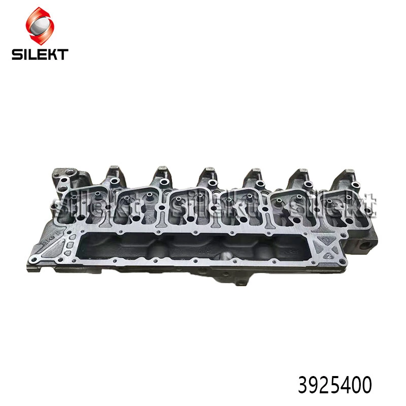 for Machinery Engine Parts 6bt Head Cylinder 3925400