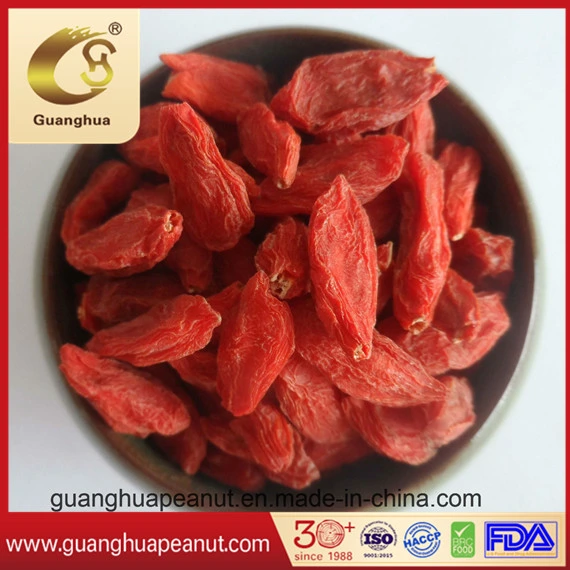 The Best Dried Goji Berry with Health and Good Quality