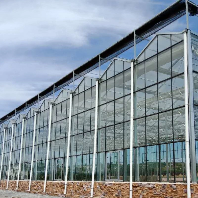 La agricultura de invernadero de cristal de gran amplitud para plantar plantas