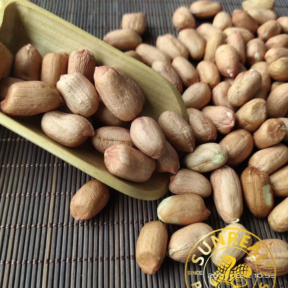 Raw Peanut Kernels/Virginia 24/28 الصين / كل التراخيص والشهادات الضرورية / علامة تجارية موثوق بها